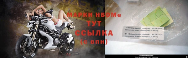 эйфоретик Алзамай
