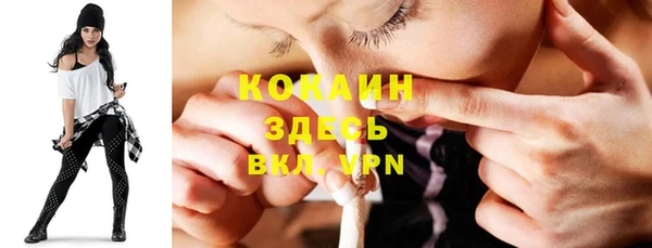 стаф Абаза